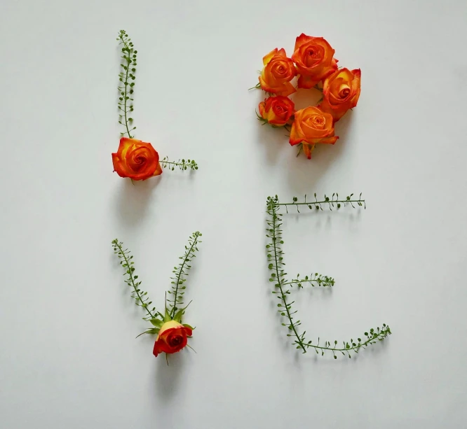 a couple of orange flowers that are on a table