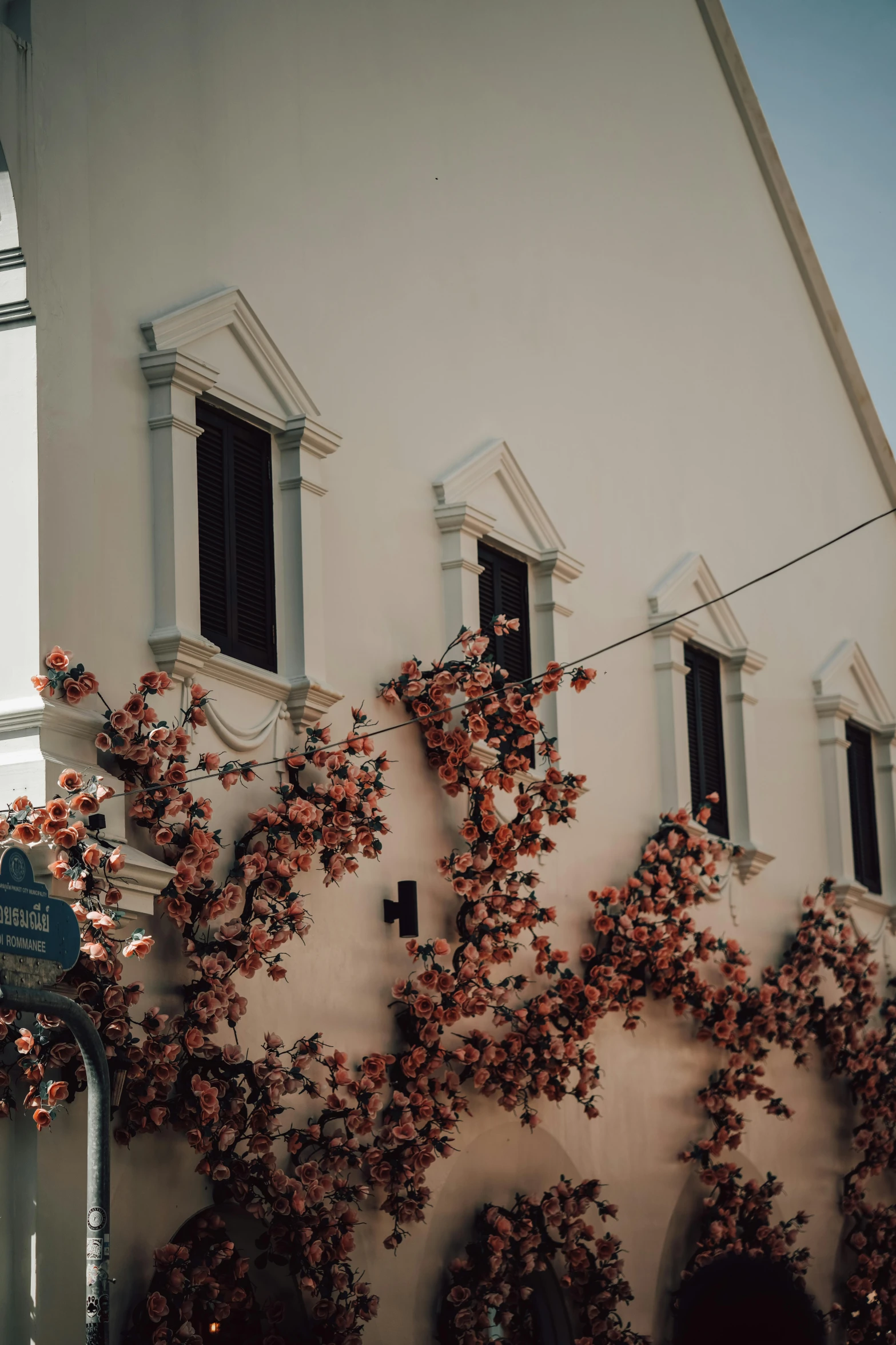 pink and red flowers blooming on the side of a building