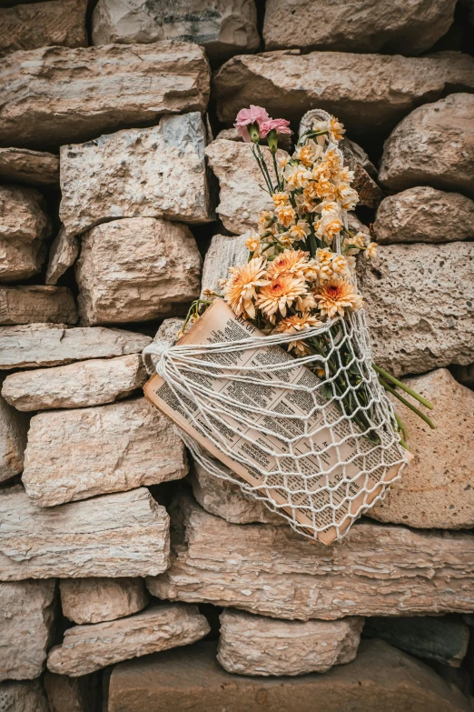 many flowers are lying on some rocks