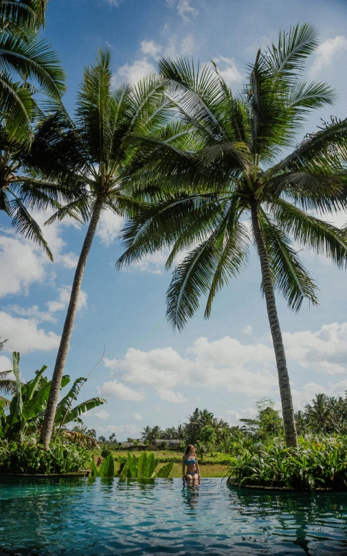 a woman in a pool with palm trees