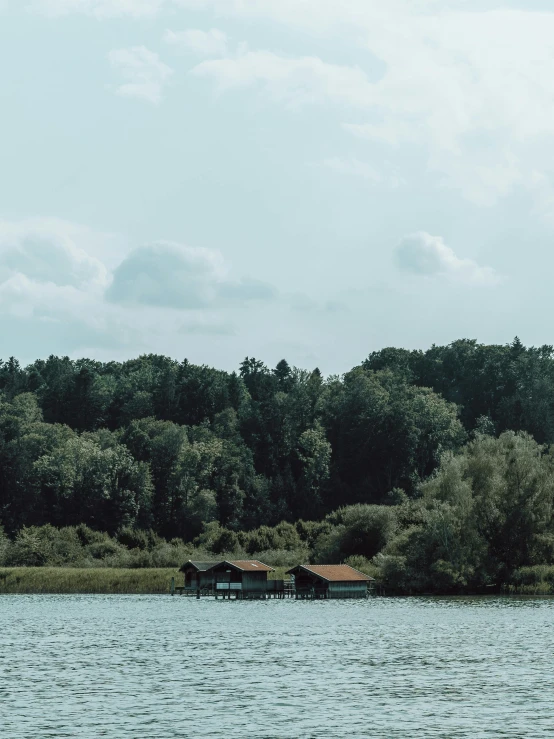 a small body of water with trees in the background