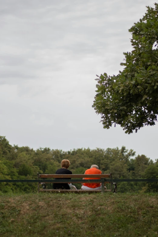 two people sitting on a bench in a grassy field