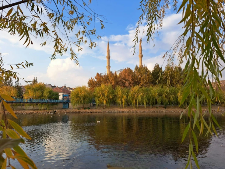 a body of water that has ducks and swans on it