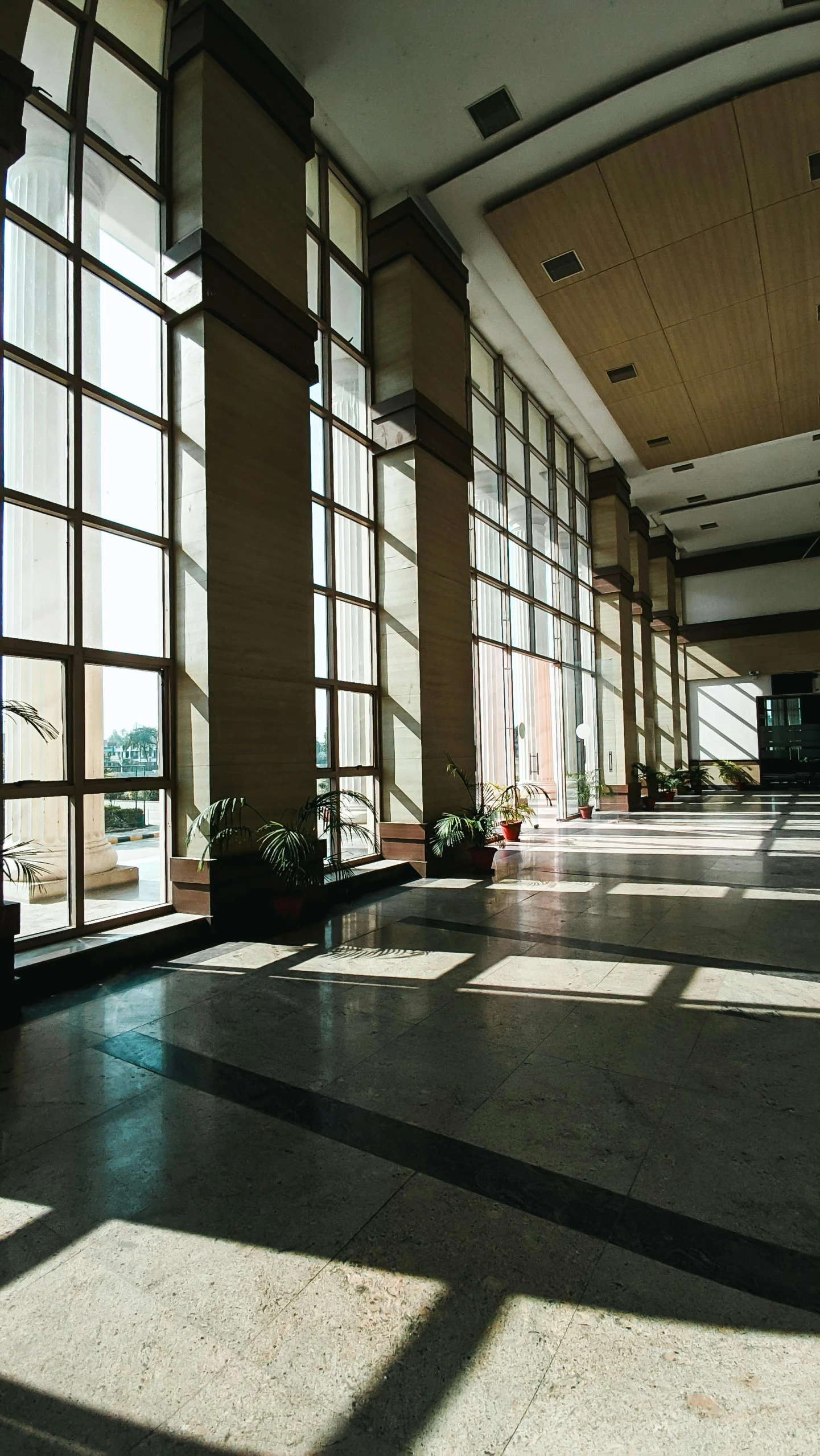 a sunlit lobby that has windows with planters on them