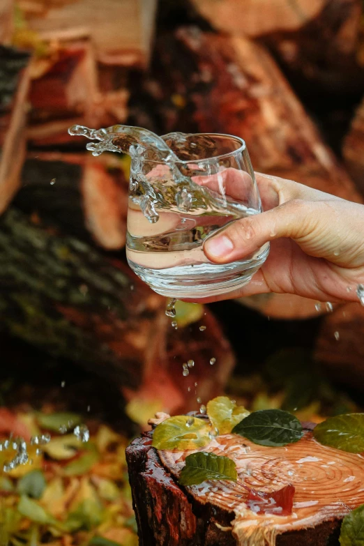 a hand pours water onto a glass in front of some colorful leaves