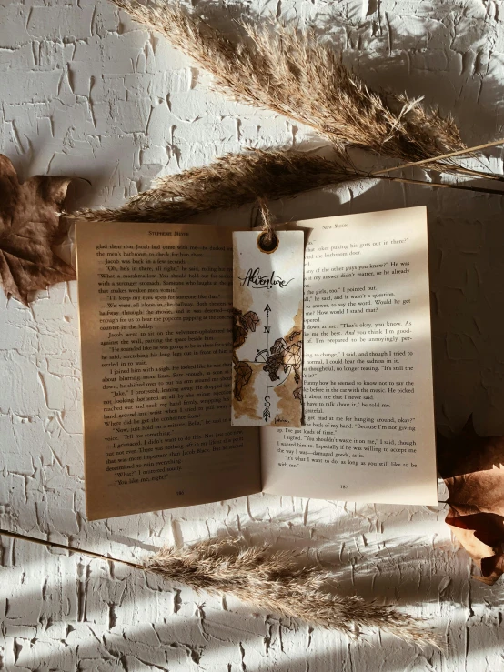 an old book, a dried plant, and a feather on a wall