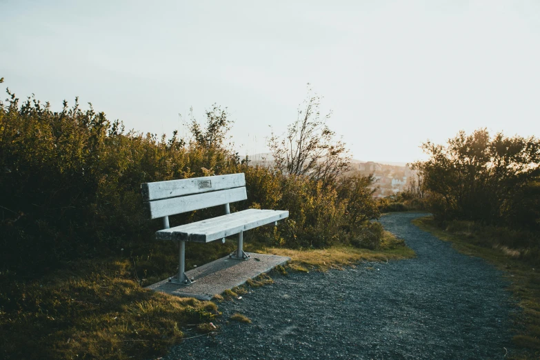 an empty park bench along a trail at sunset