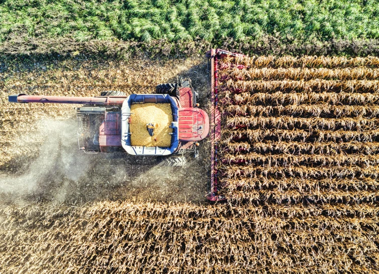 a farm tractor plows a field as a rakes its seed