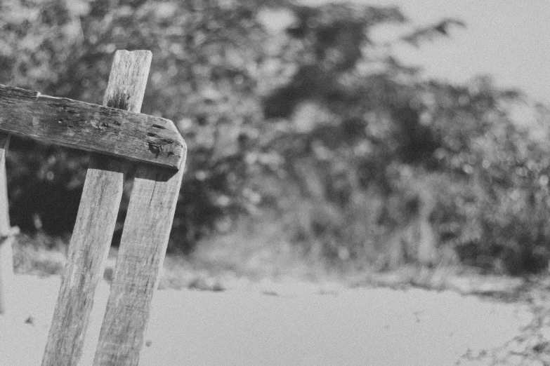 a close up of a wooden cross with trees in the background