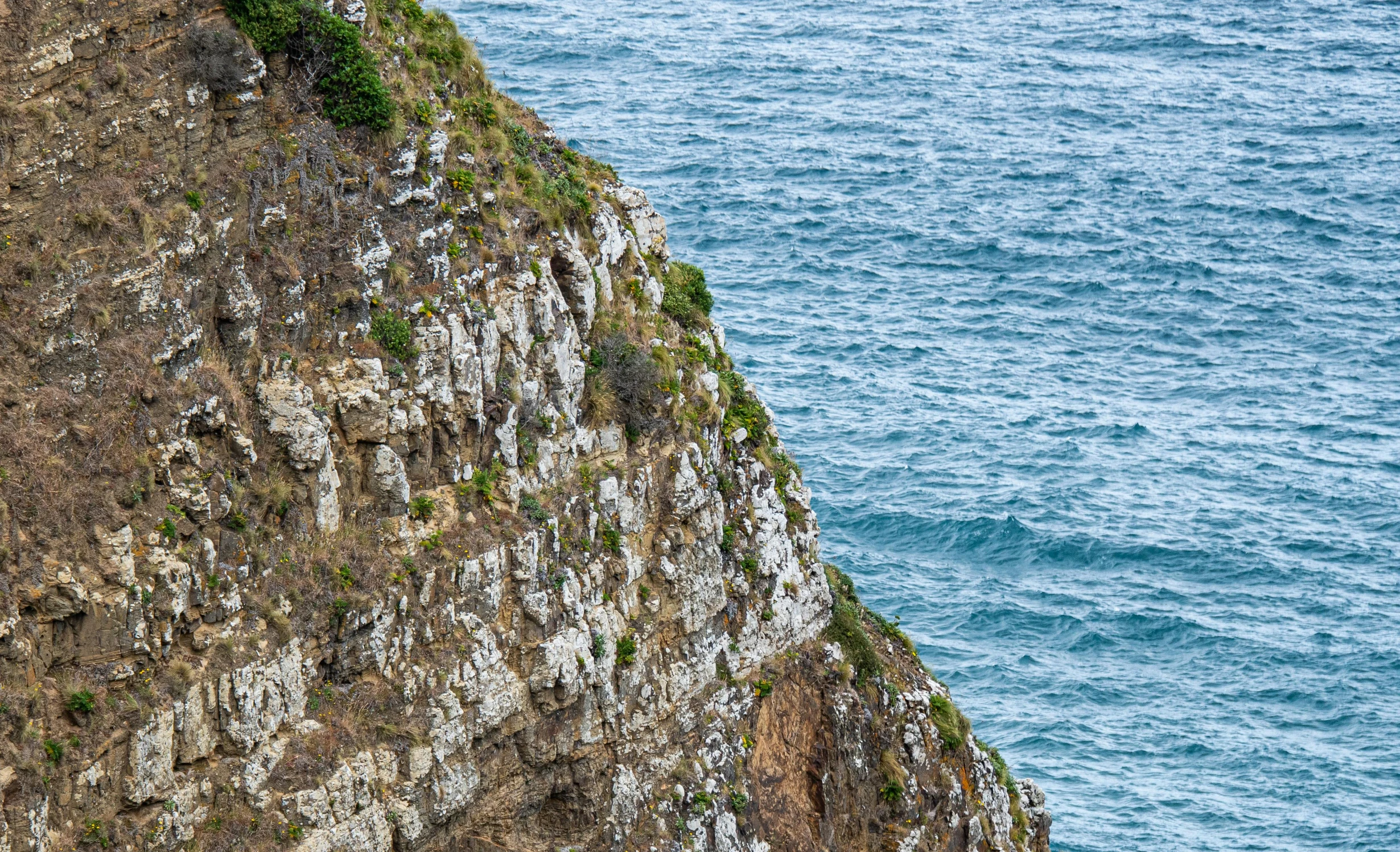 an image of bird that is perched at the edge of the cliff