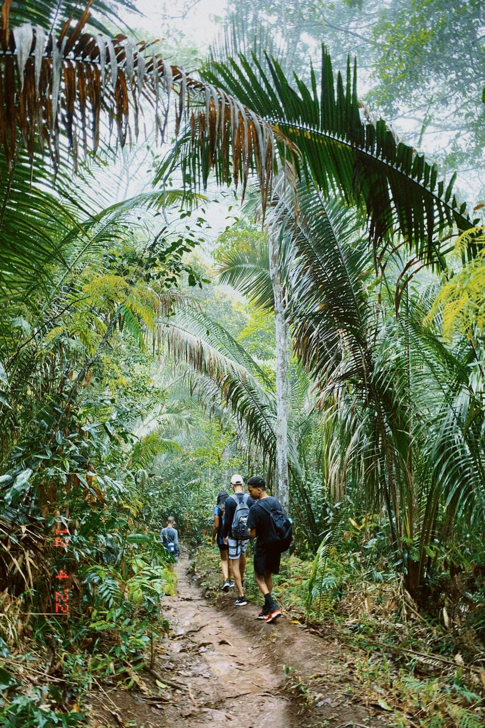 two people walking up a dirt path in the forest