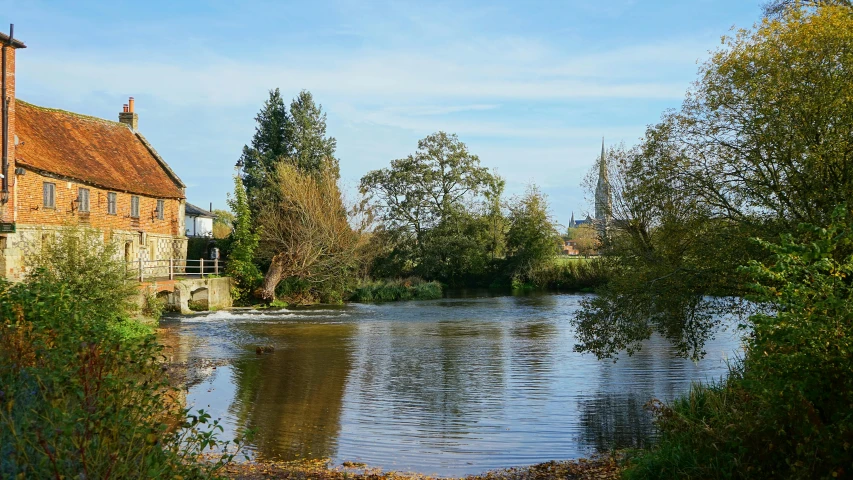 some trees are by the water and a house is behind it