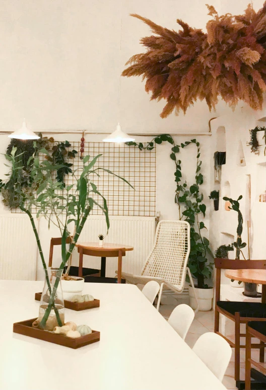 a room with chairs and plants in a vase