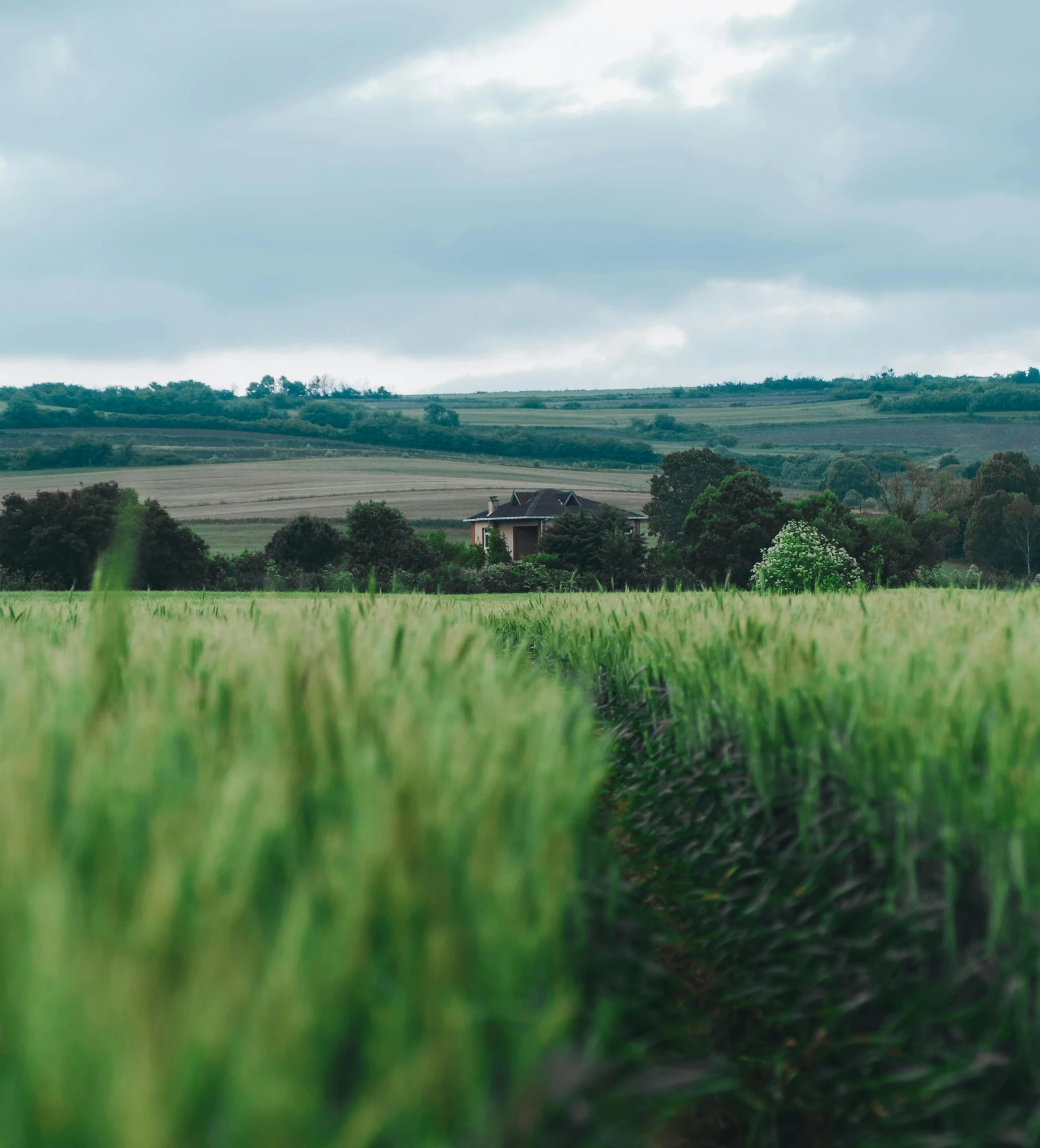 an open field with tall grass and a rural area in the distance