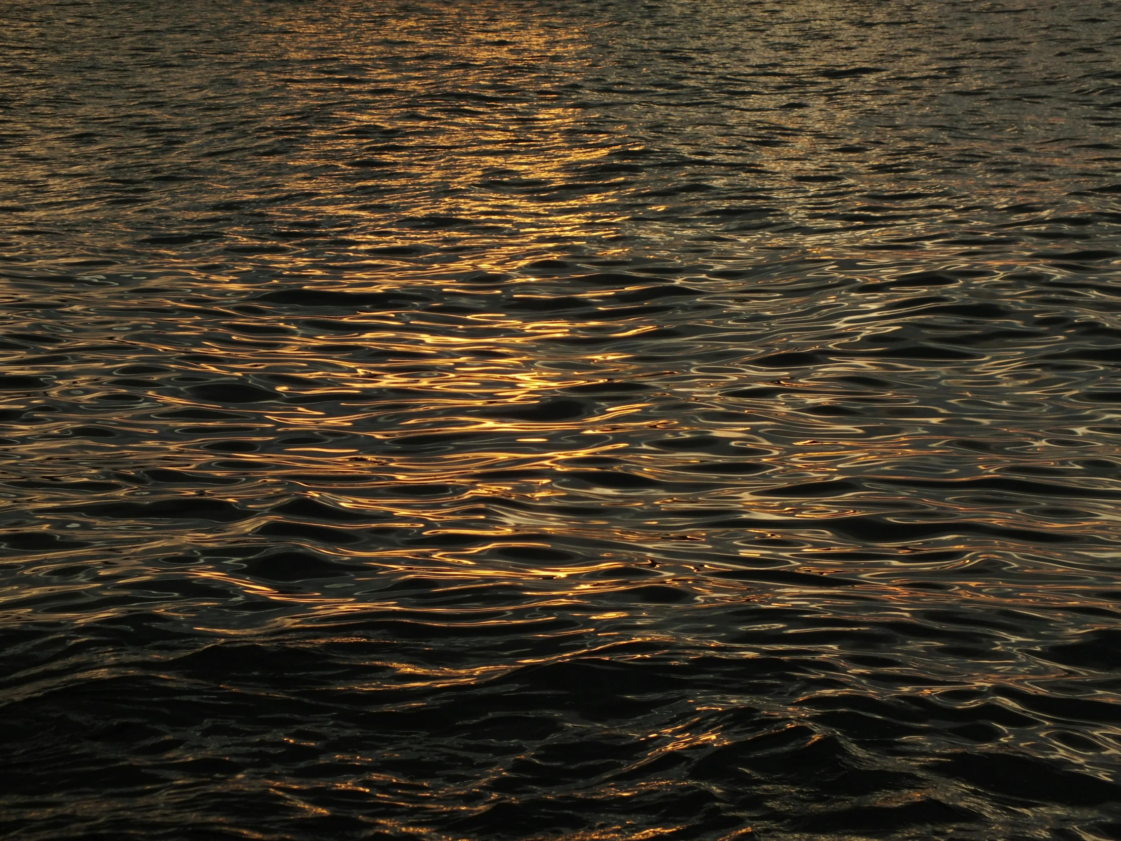 some very pretty waves on the water near the shore