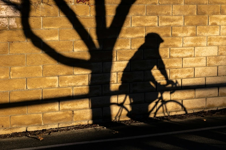 the shadow of a person riding a bicycle past a wall