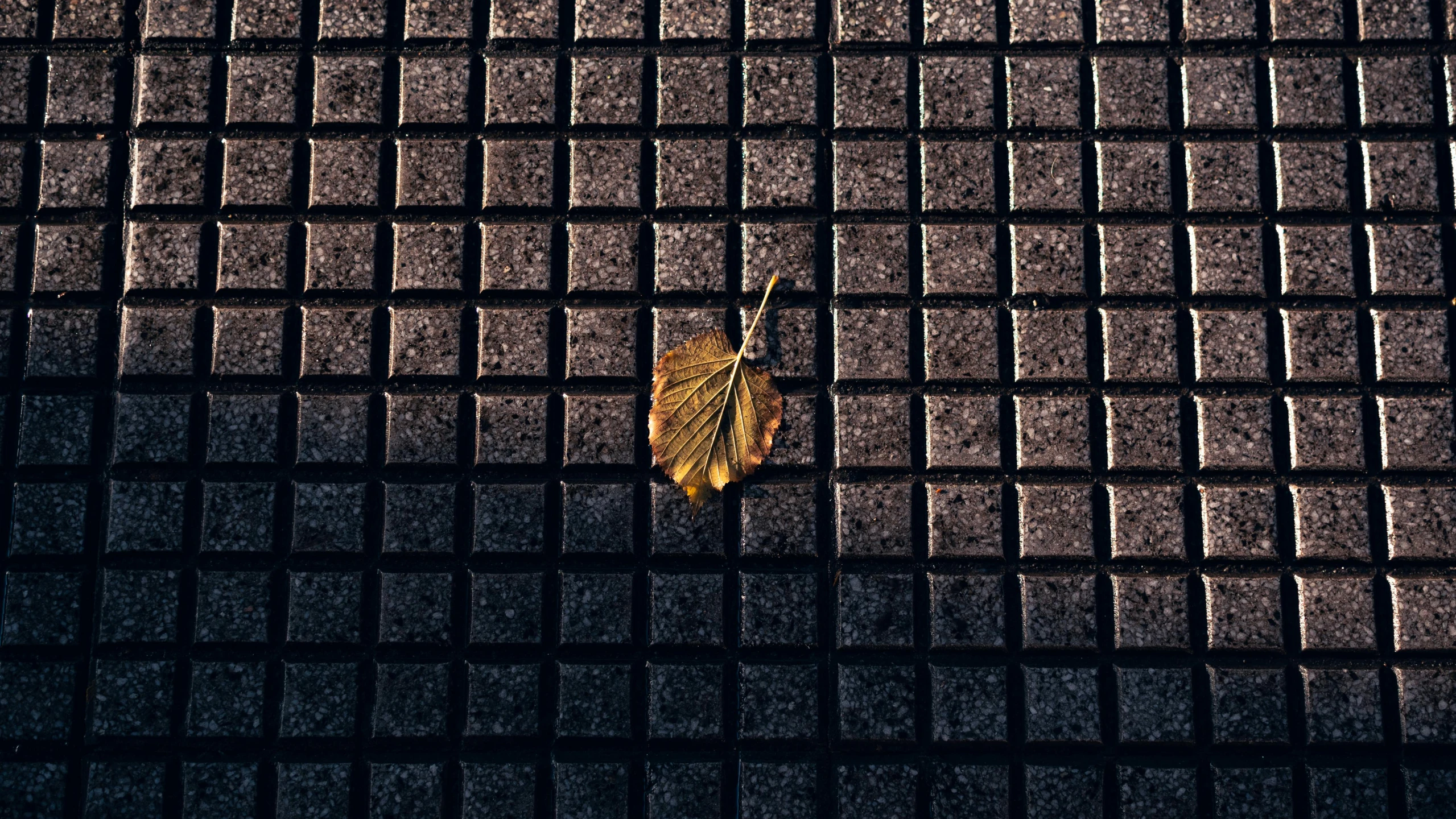 a leaf hanging off the side of a metal grate