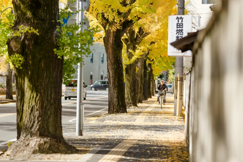 this is a leaf covered sidewalk leading up to a restaurant