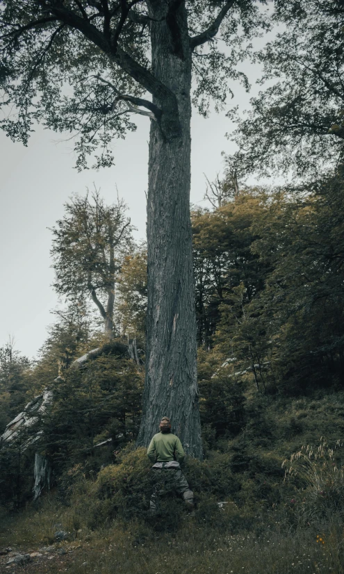 a man sitting at the base of a tree