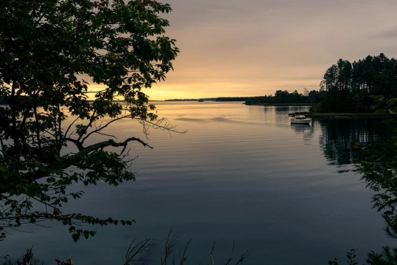 a sunset with a tree and lake in the foreground