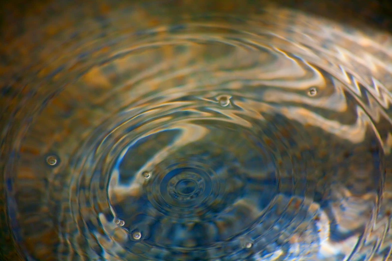 the reflection in water has been distorted to make a ripple