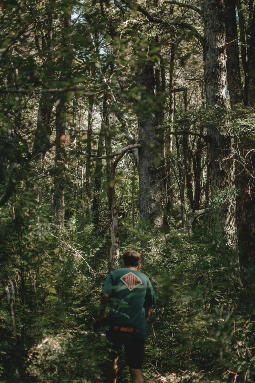 man walking in the middle of the woods with two bags