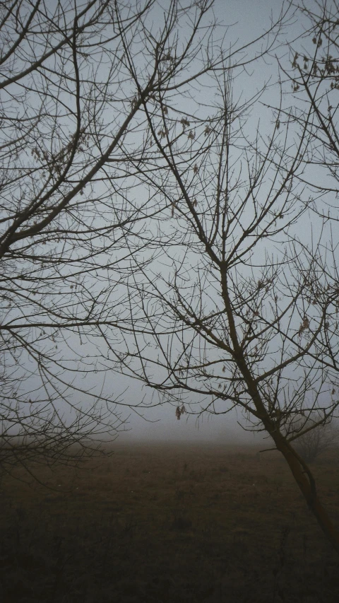 a person is walking through an open area