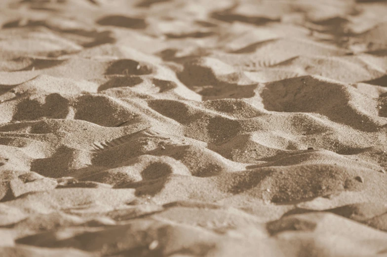 small footprints can be seen in the sand