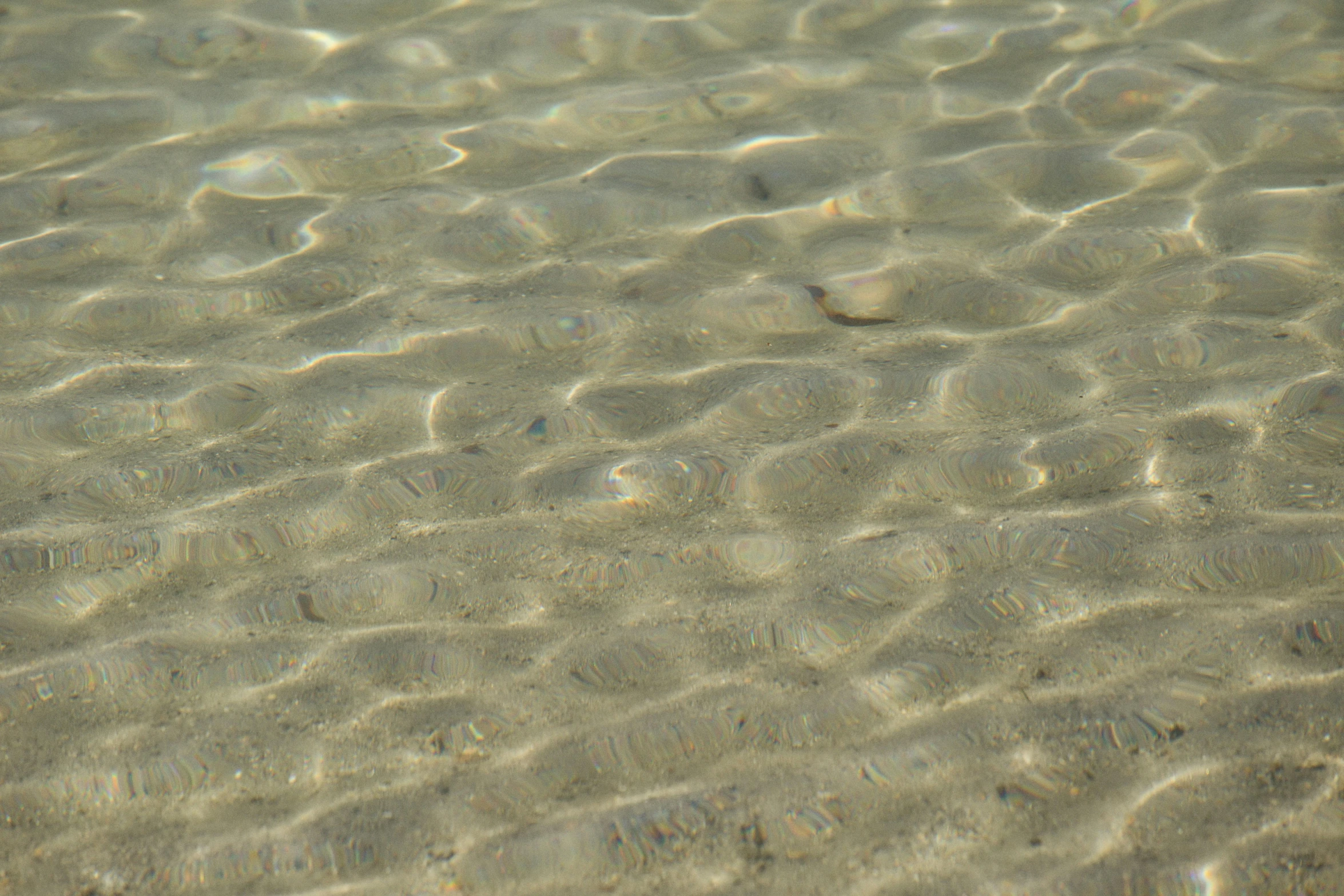 the bottom half of a beach with ripples of water