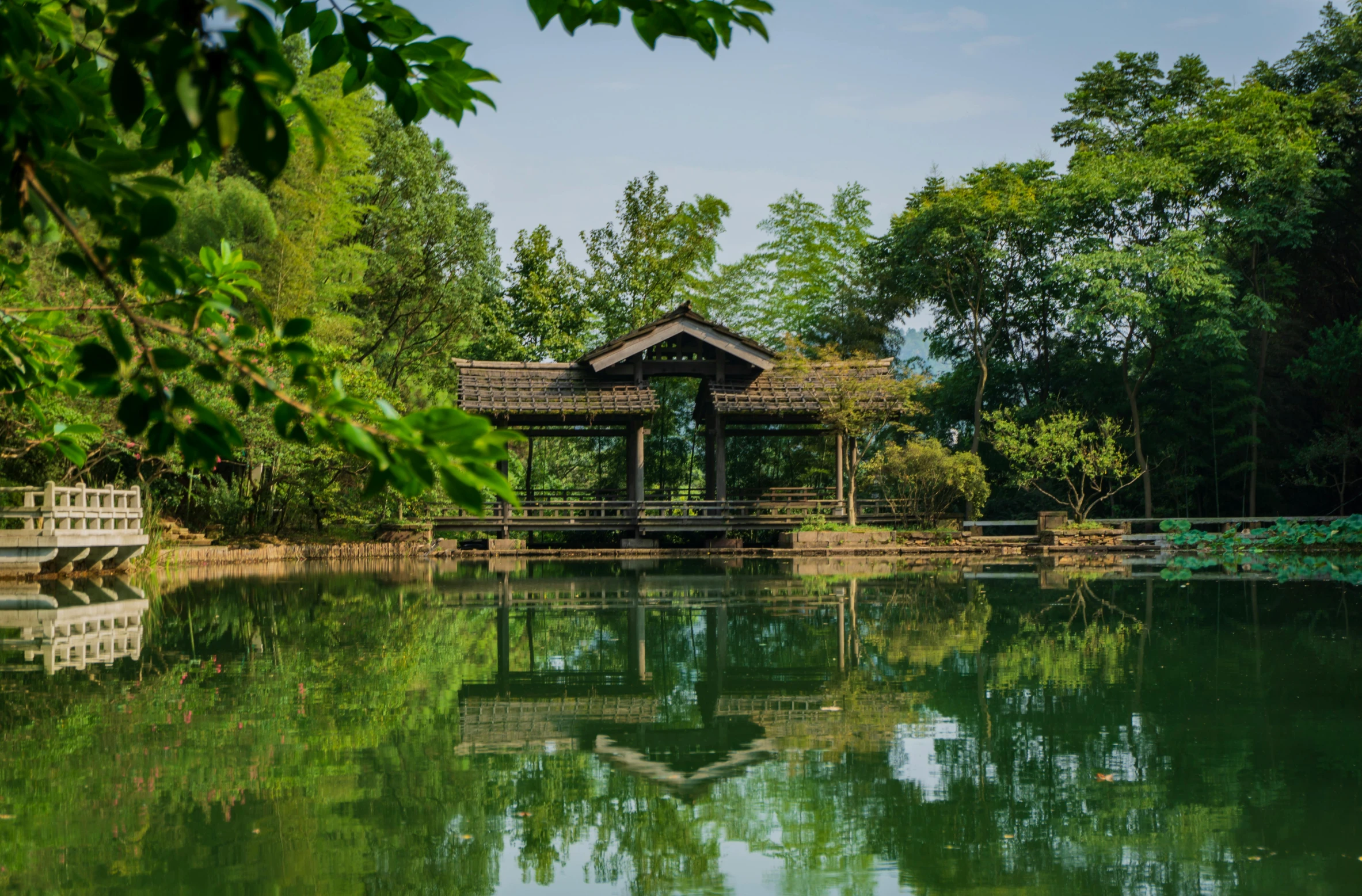 a house next to trees on a green lake