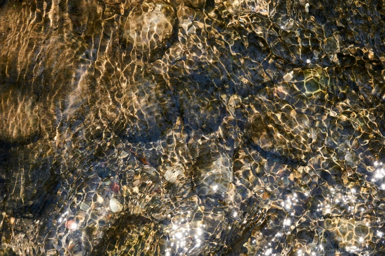 shallow water is covered by rocks and sand