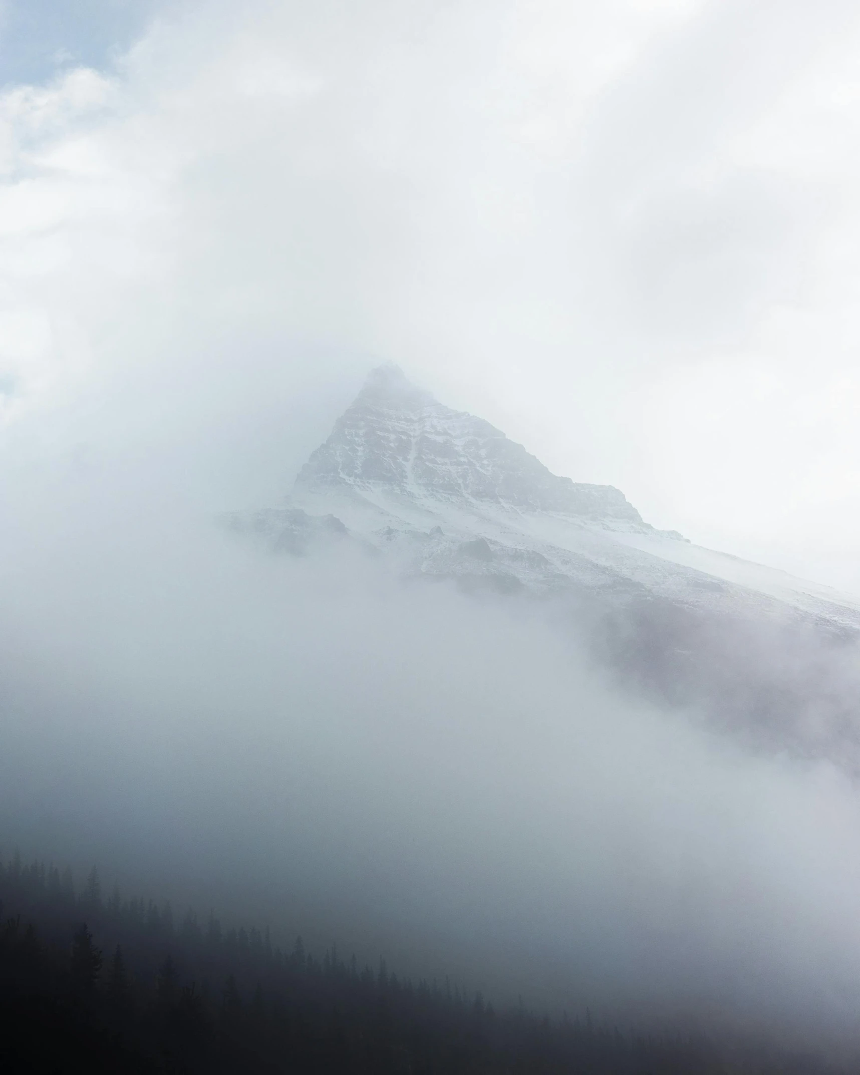 a lone bird perched on top of a tall mountain covered in fog