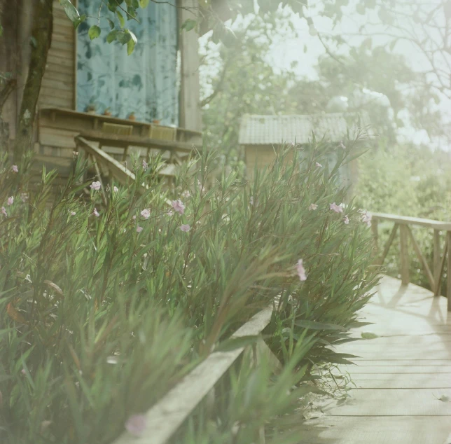 a house and flowers in front of it