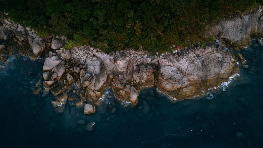 an aerial view of the water and trees surrounding it