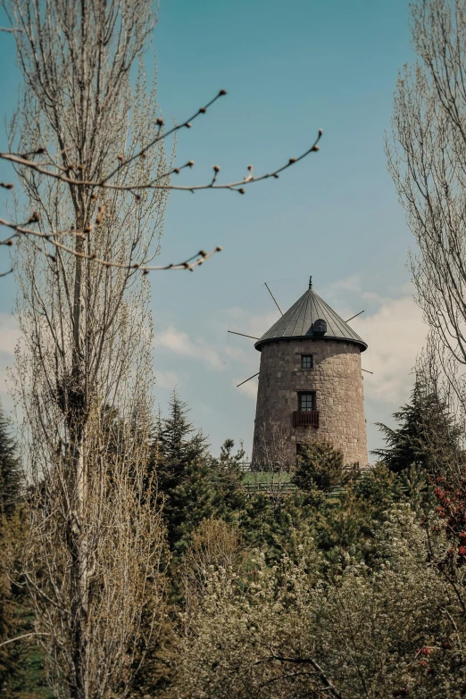 a tower that is behind some trees