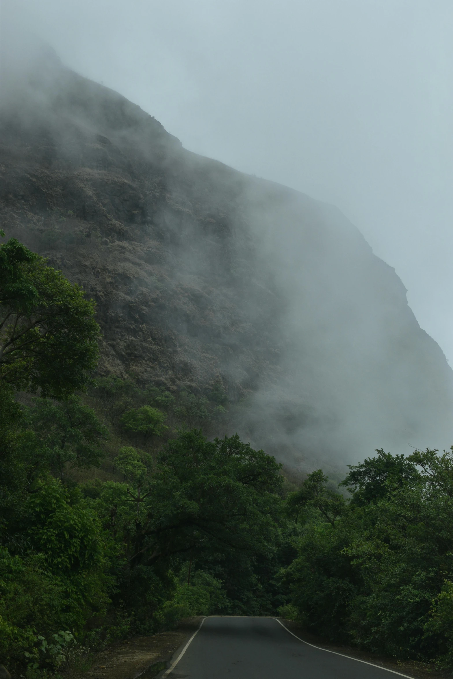 a large fog covered mountain near a forest