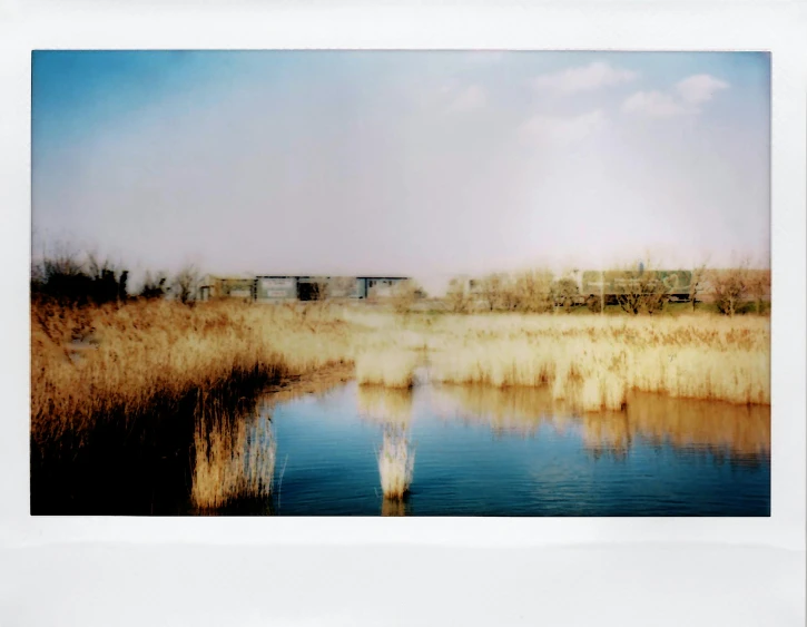 landscape po, with water near reeds and buildings in the background