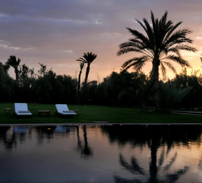 a pool surrounded by lush vegetation in the evening