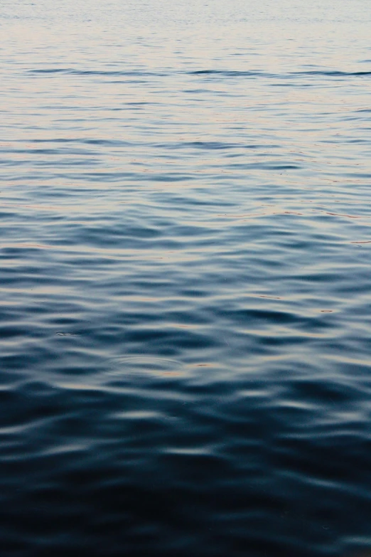 a lone bird flying in the sky over the ocean