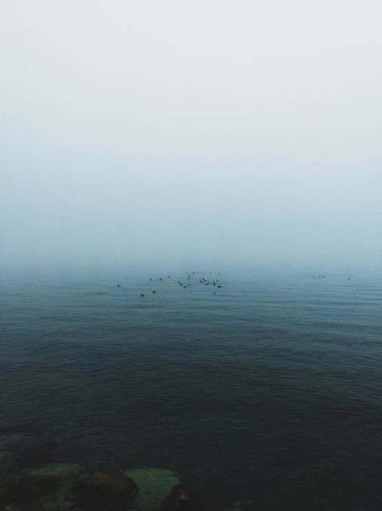 the picture shows the ocean in a foggy color