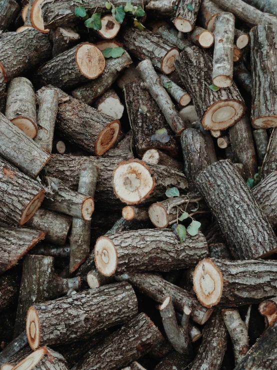 wood scrap is piled on top of each other