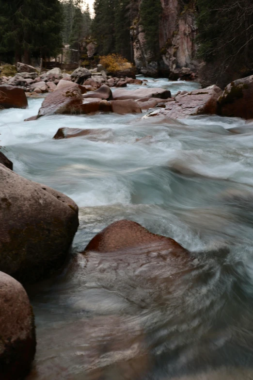 a view of the rapids and rocks by a forest