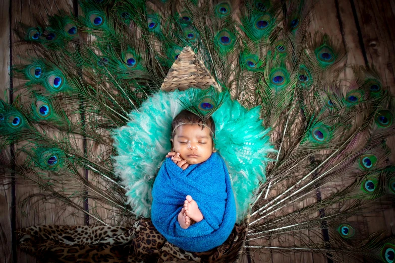 a baby sits on the side of a peacock feathers display