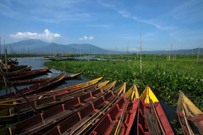 there are many canoes that can be rented on this lake