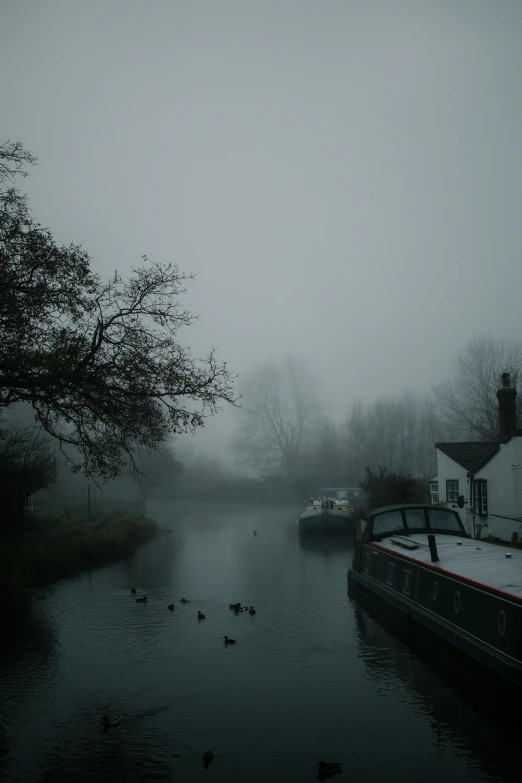 a couple of boats on a river on a foggy day