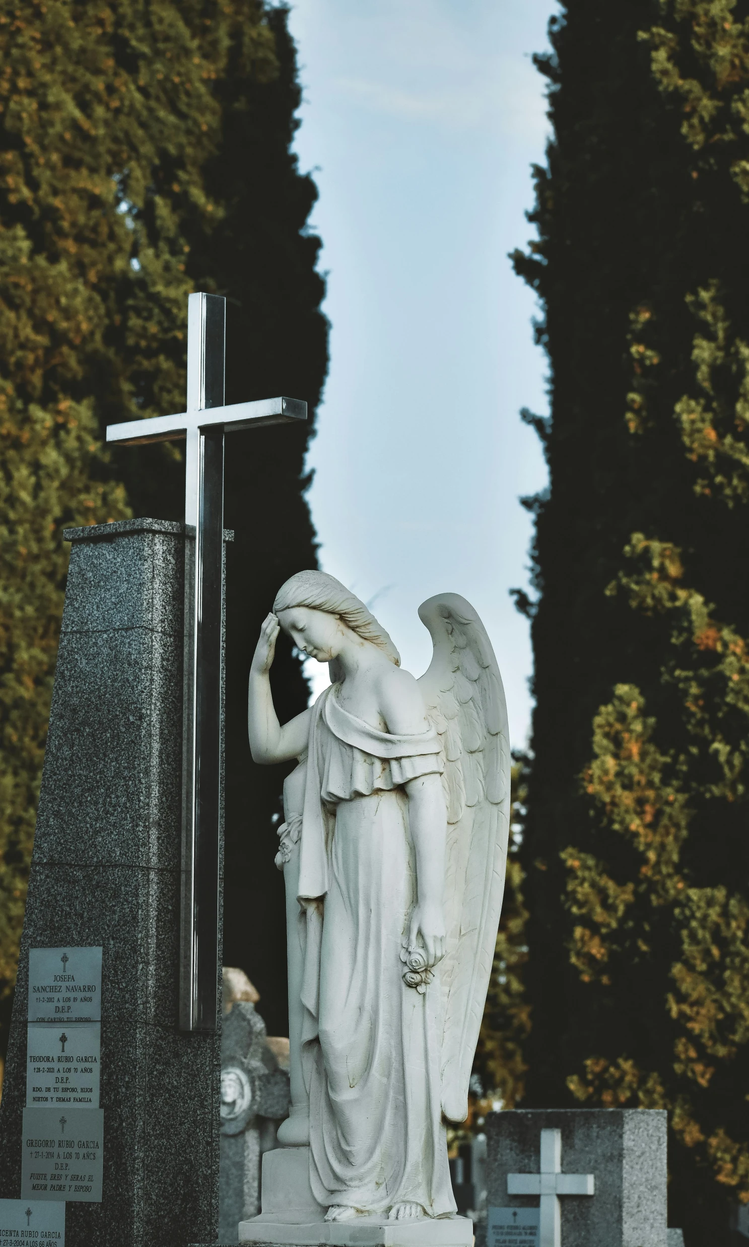 an angel statue next to some trees on the ground