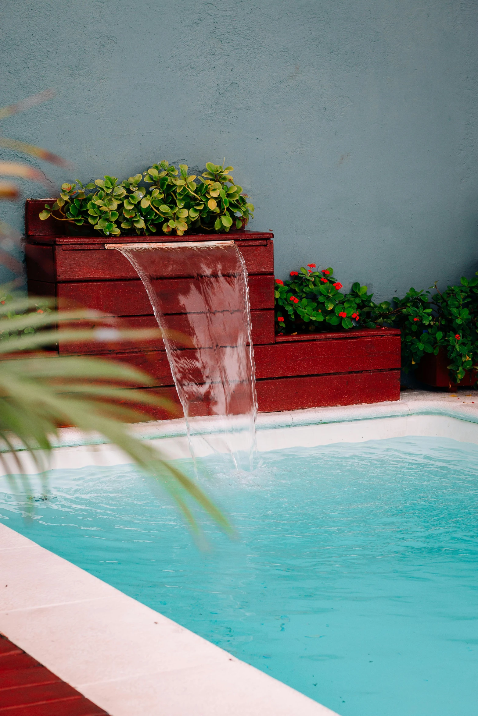 a pool with a fountain in it next to plants