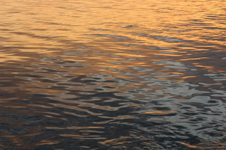 a person with a boat is out on the water