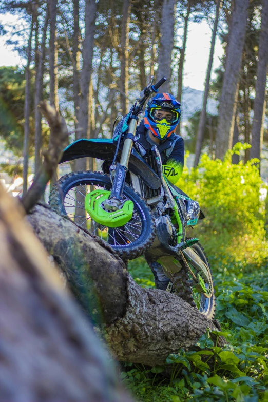 a person riding a bike over a fallen tree