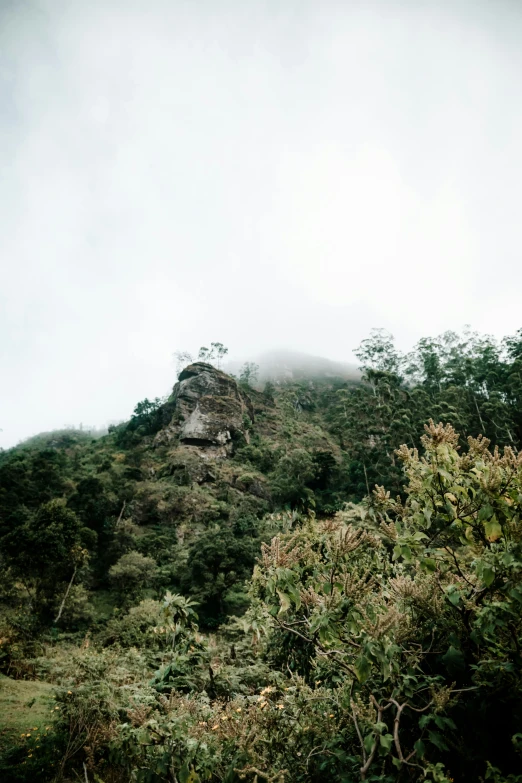 this is a view of the mountains with vegetation growing up the side